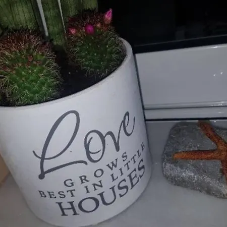 Pipi's House شقة